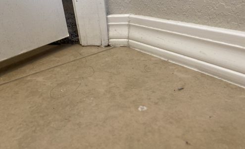 Rosa's Professional Cleaning