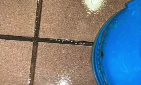 Quality Care Carpet Cleaners