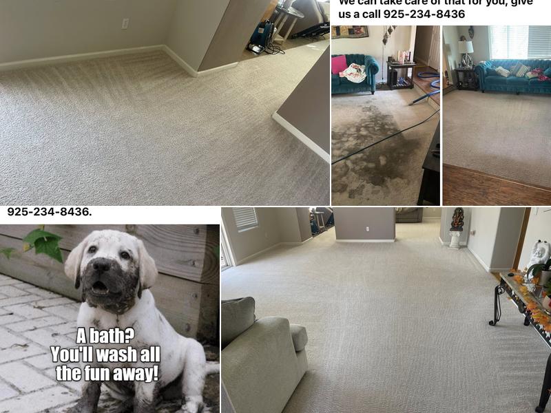 All Star Carpet Care