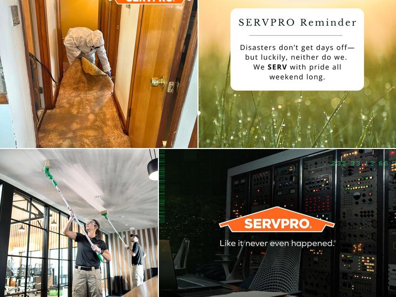 SERVPRO of Eastern Niagara County