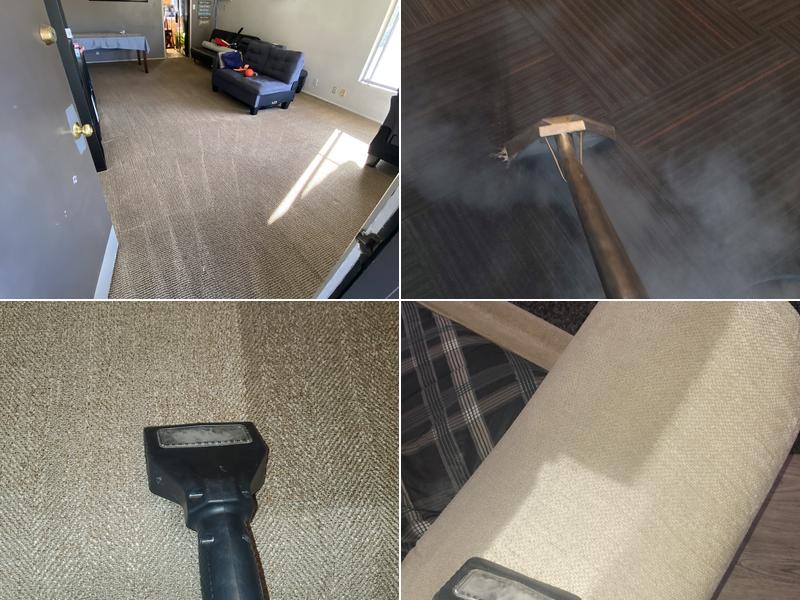 Garcias Steam Master Plus