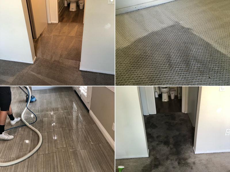 Blue Spot Carpet Cleaning