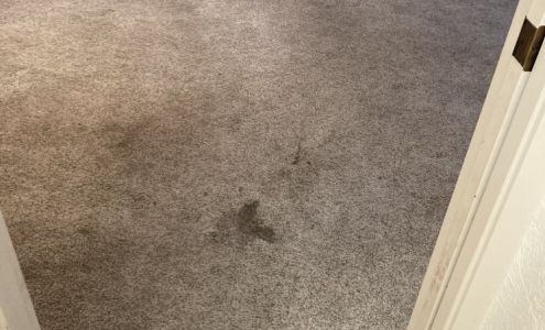 ABCarpet Cleaning