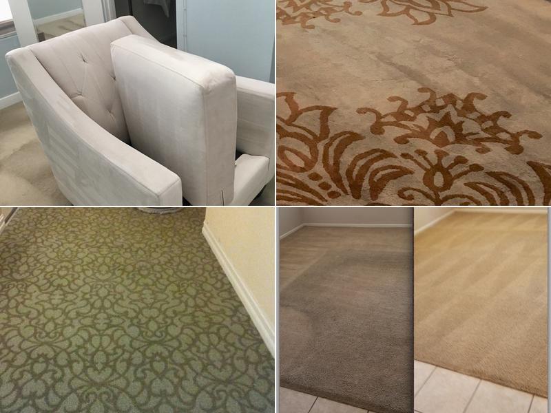 Hen's Dry Carpet And Upholstery Cleaning