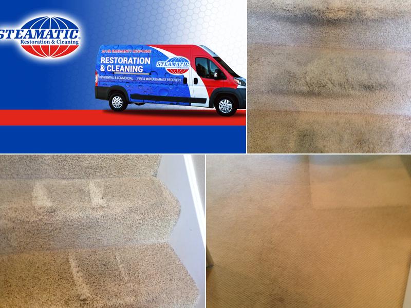 Steamatic of Contra Costa