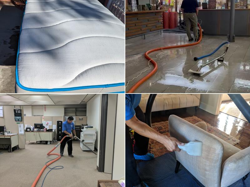 Oscar Andrew Carpet and Upholstery cleaning