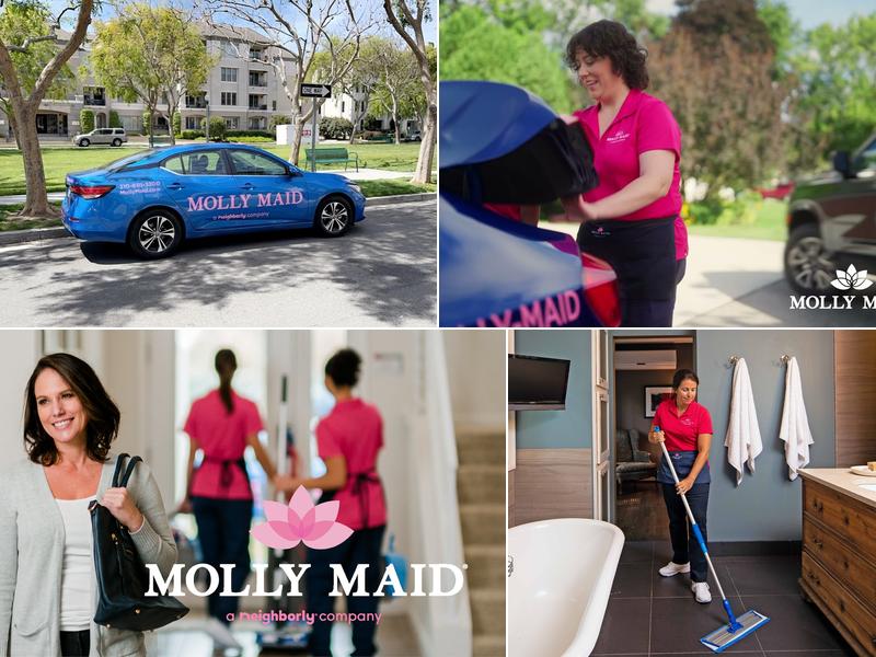 Molly Maid of Playa Vista