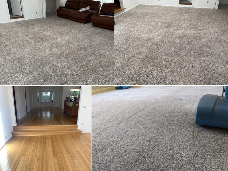 Millennium Carpet and Flooring