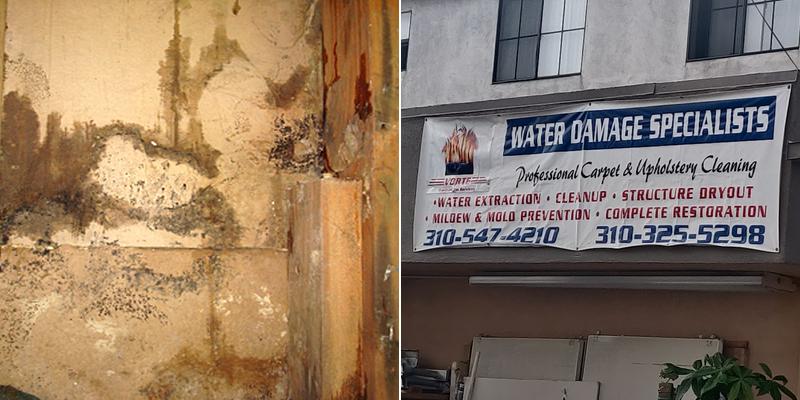 Vorte Restoration Services