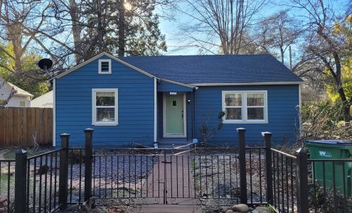 Silva Brush Painting