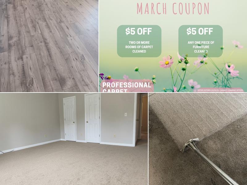 Professional Carpet Systems