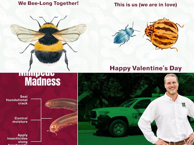 Bulwark Exterminating in Matthews