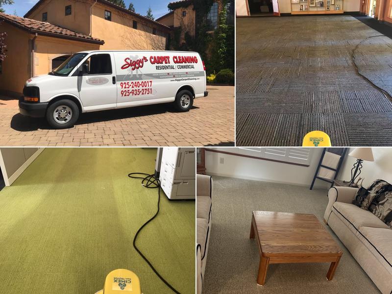 Siggy's Carpet Cleaning