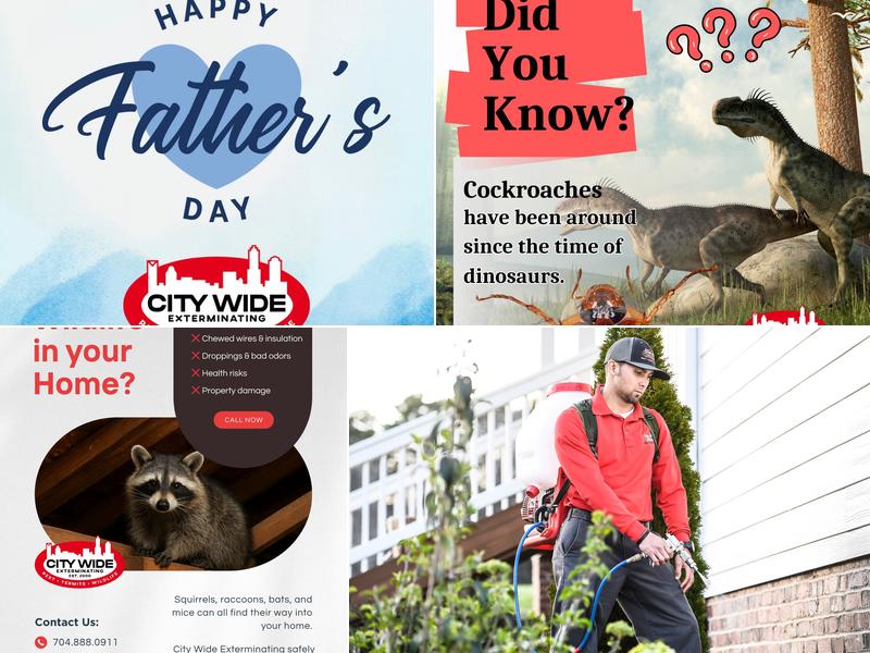 City Wide Exterminating