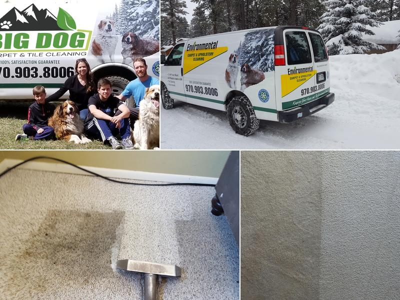 BIG DOG Carpet & Tile Cleaning