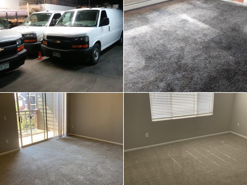 Elevation Carpet Cleaning