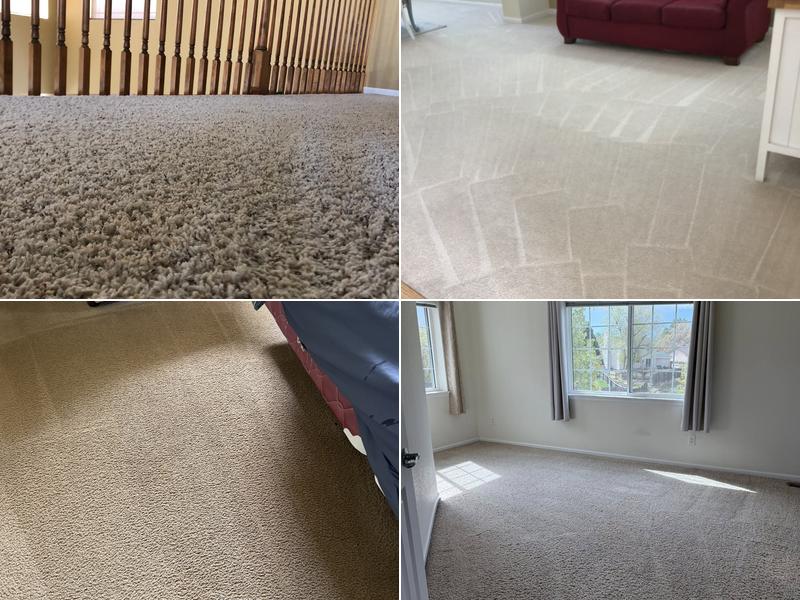 Extreme Carpet Cleaning and Restoration