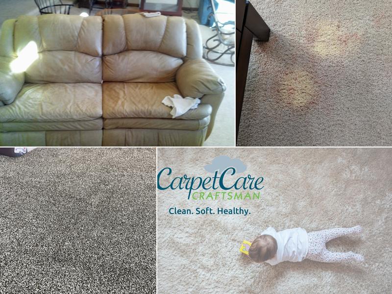 Carpet Care Craftsman, Inc.