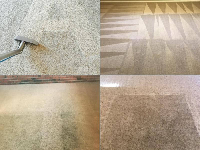 Blue Ribbon Carpet Cleaning