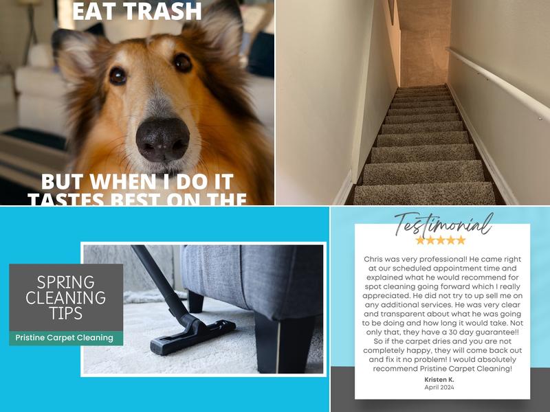 Pristine Carpet Cleaning