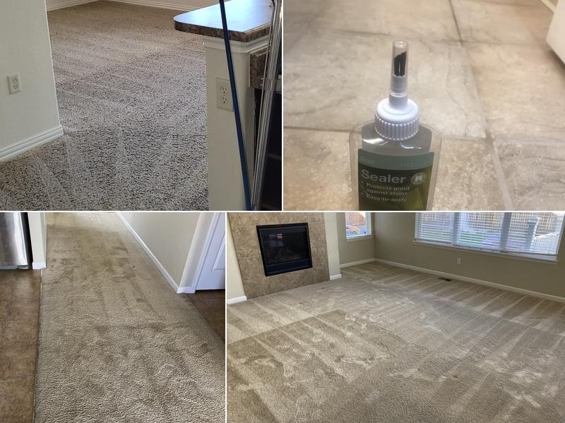 Mean Machine Carpet Clean