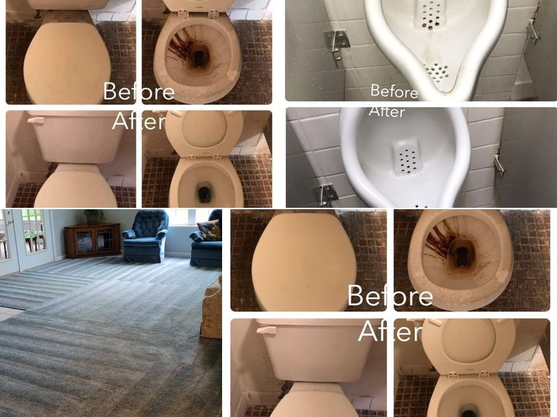 Koala~T Family Cleaning