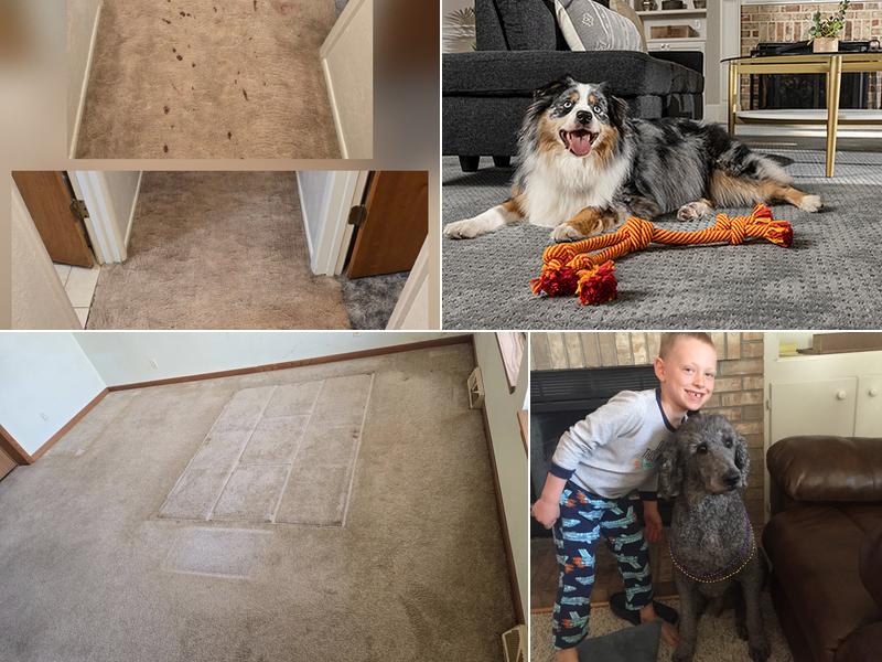 Heaven's Best Carpet Cleaning