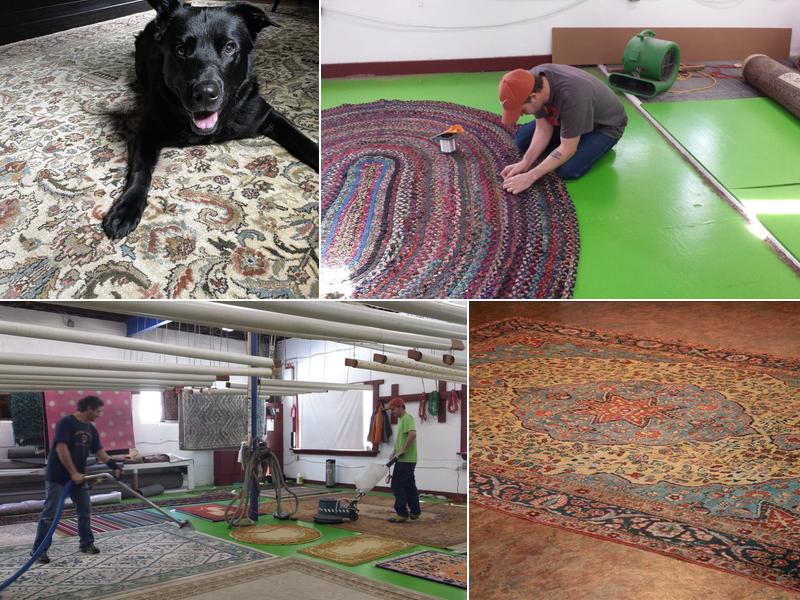 Middletown Rug & Carpet Cleaning Co.