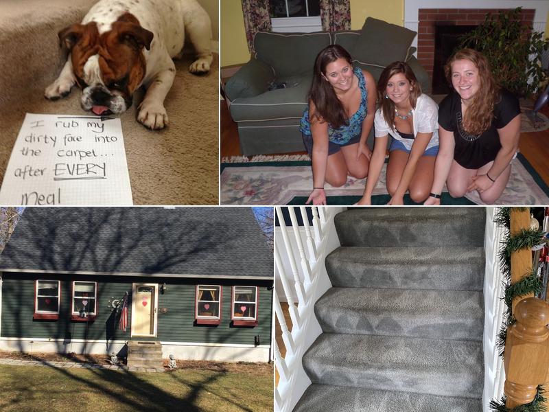 Hydro Carpet Cleaning