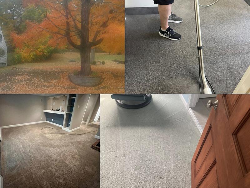Cerruto Carpet Cleaning