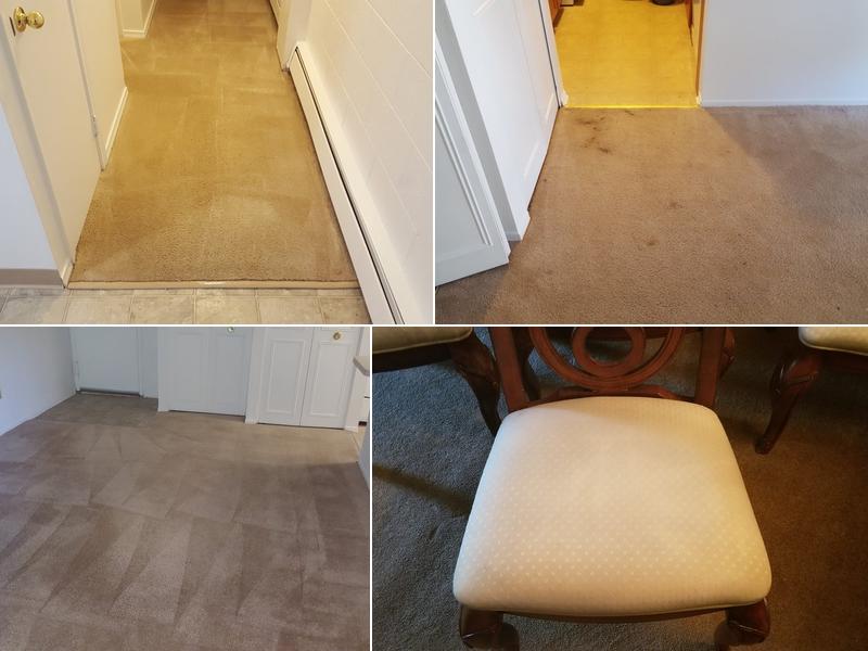 Evans Cameo Carpet Cleaning