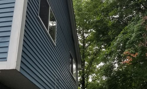 Stumps Of Time Removal Service Alexandria