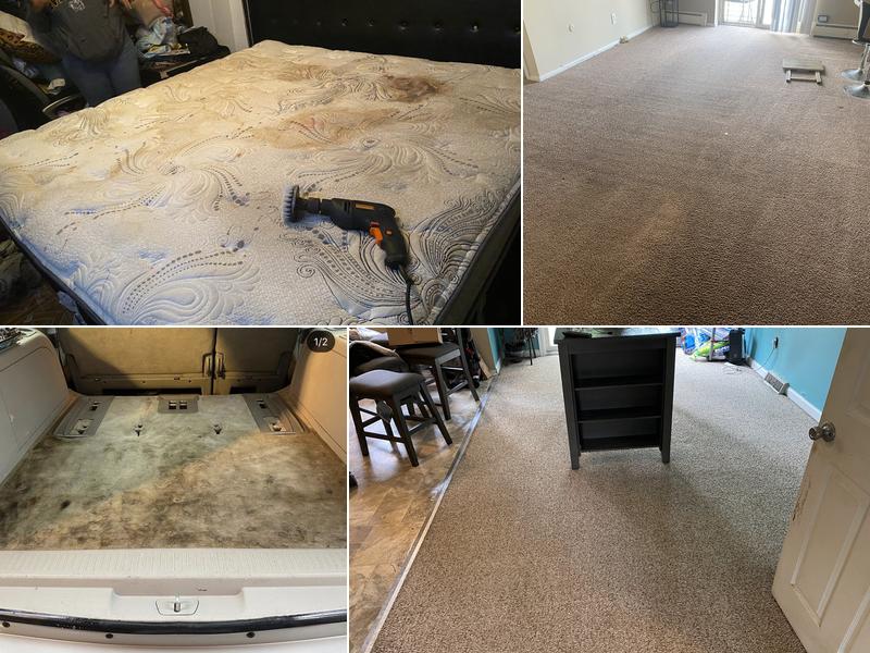 Pro floors and upholstery cleaning inc