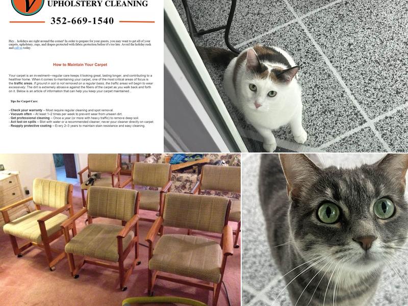 Vans Carpet & Upholstery Cleaning