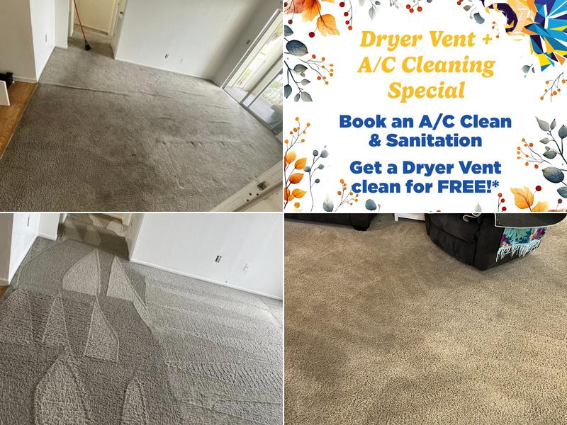 Classic Carpet Dyers, Inc.