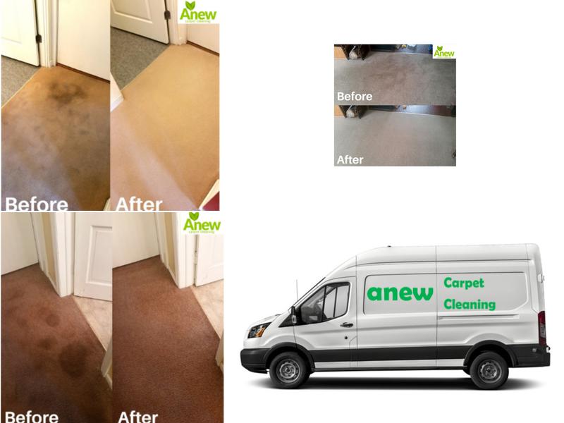 Anew Carpet Cleaning