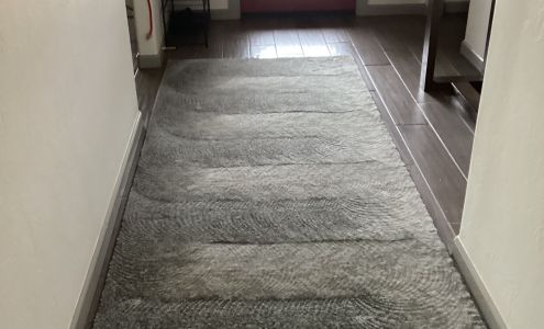 Genesis Carpet Cleaning
