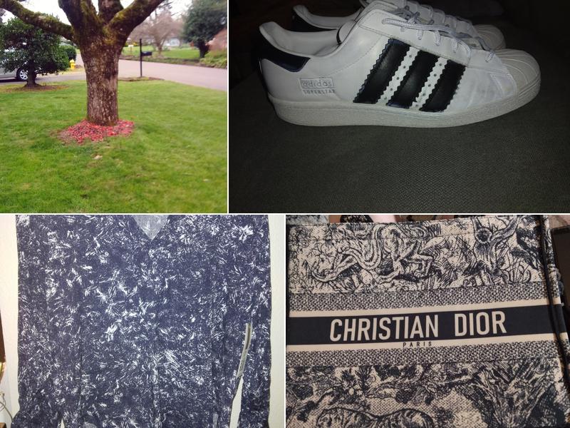 Paradise Cleaning Pro