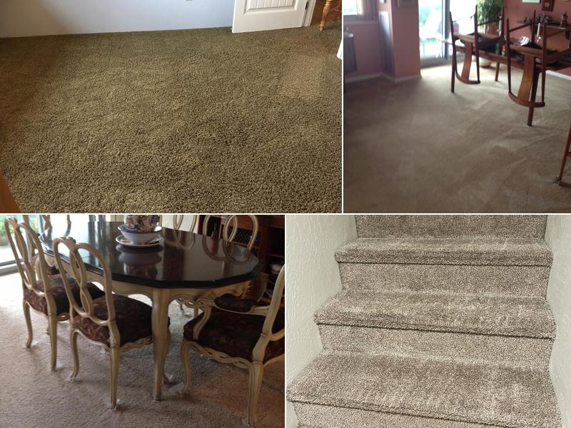New View Carpet Cleaning