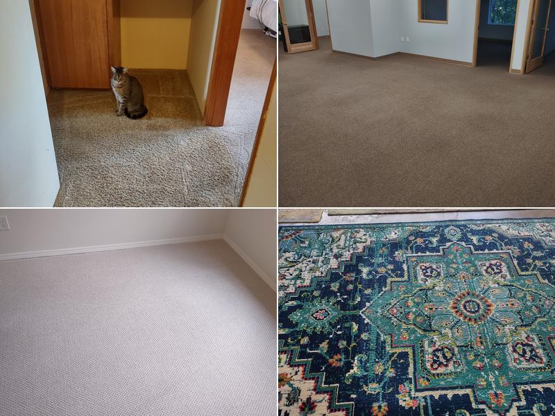 R & C Carpet Care Inc