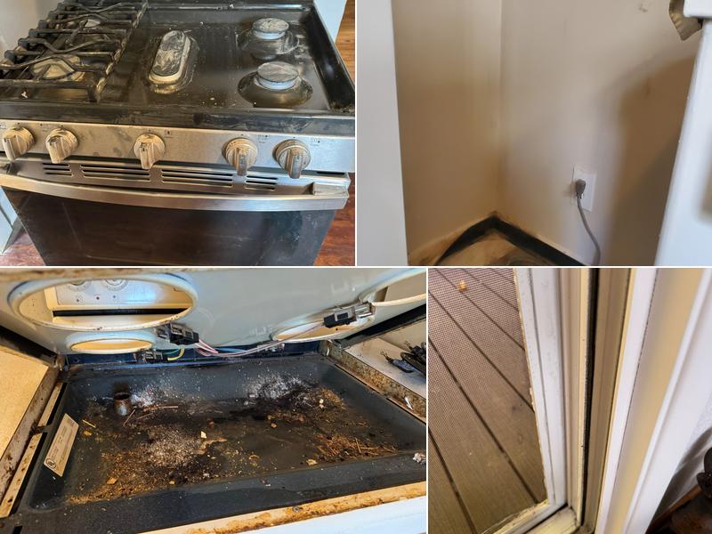 Natural Cleaning Pdx