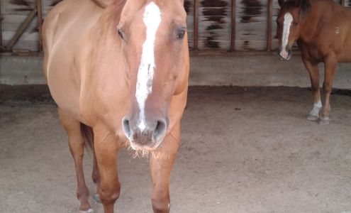 Decked Out Boathouses Inc
