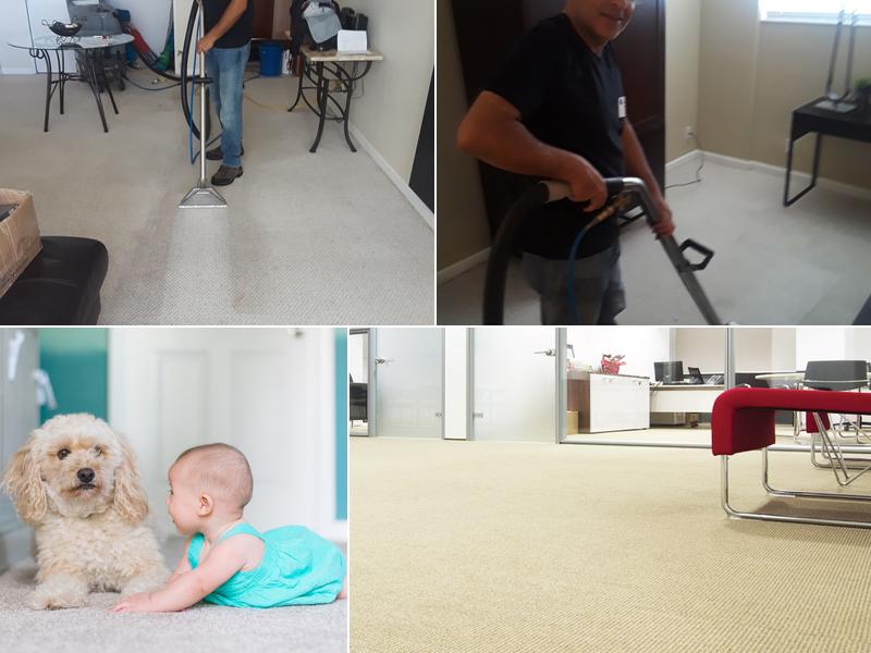 Carpet Cleaning Miami Service