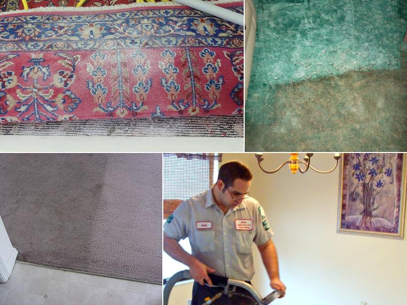 Allred's Performance Plus, Inc.