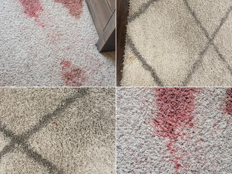 Ameri Carpet Cleaning