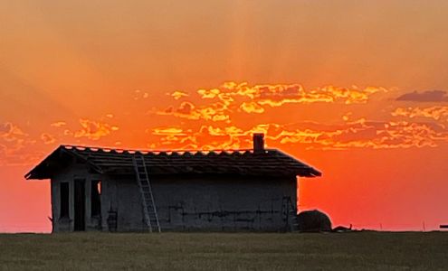 Evergreen State Roofing