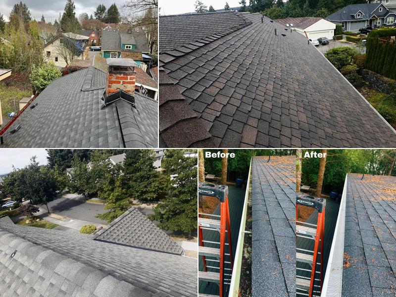 Gutter & Roof Solutions