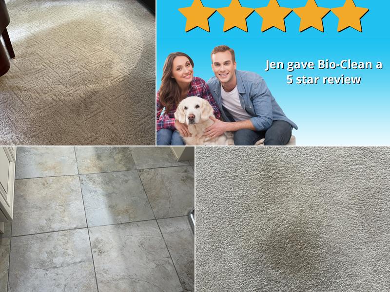 Bio-Clean Carpet Cleaning