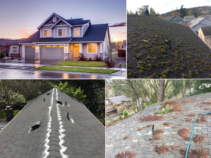 Bellingham Roof & Gutter Cleaning
