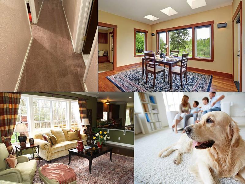 Johnny On The Spot Carpet & Upholstery Cleaning